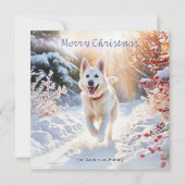 Weiße Schäferhund Dog Alsatian Weihnachten (Vorderseite)