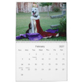 Weiße Schäferhunde Kalender (Feb 2027)