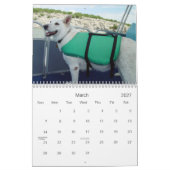Weiße Schäferhunde Kalender (Mär 2027)