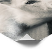 Weiße Schäferhündin auf dem Deck Fotodruck (Ecke)