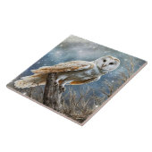 Weiße Schale Mystical Beautiful Fliese (Seite)