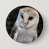 Weiße Schleiereule Button (Vorderseite)