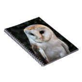Weiße Schleiereule Notizblock (Rechte Seite)