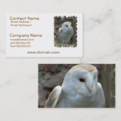 Weiße Schleiereule-Visitenkarten Visitenkarte (Vorne/Hinten)