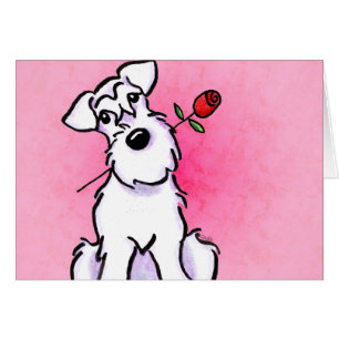 Weiße Schnauzer-Schatz-Gewohnheit