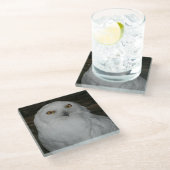 Weiße Schneeauge Natur Foto Glasuntersetzer (Schrägansicht)