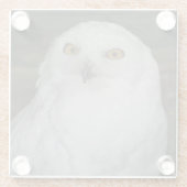 Weiße Schneeauge Natur Foto Glasuntersetzer (Rückseite)