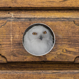 Weiße Schneeauge Natur Foto Keramikknauf