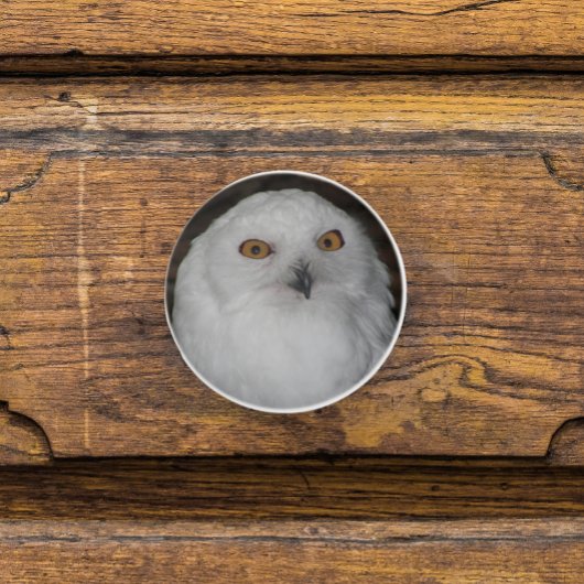 Weiße Schneeauge Natur Foto Keramikknauf