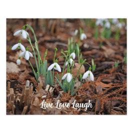 Weiße Schneeflocke Fotodruck