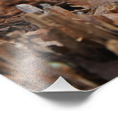 Weiße Schneeflocke Fotodruck (Ecke)