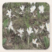 Weiße Schneeglöckchen im Frühlingsgras Rechteckiger Pappuntersetzer (Vorderseite)