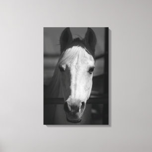 WEISSE SCHÖNHEIT 16x24 Leinwanddruck