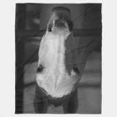 WEISSE SCHÖNHEIT FLEECEDECKE (Vorderseite)