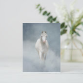 weiße Schönheit Postkarte (Stehend Vorderseite)