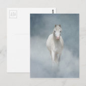 weiße Schönheit Postkarte (Vorne/Hinten)