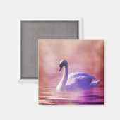 Weiße Schwäne, die auf einem scheußlichen See schw Magnet (Vorderseite/Rückseite)