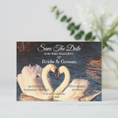 Weiße Schwäne Hochzeiten speichern das Datum Save The Date (Stehend Vorderseite)