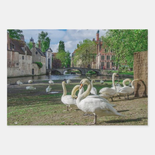 Weiße Schwäne in Brügge Geschenkpapier Set (Vorderseite 3)