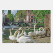 Weiße Schwäne in Brügge Geschenkpapier Set (Vorderseite 2)