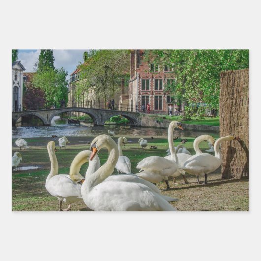 Weiße Schwäne in Brügge Geschenkpapier Set (Vorderseite 2)