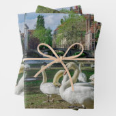 Weiße Schwäne in Brügge Geschenkpapier Set (Beispiel)