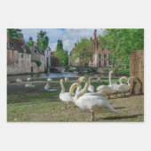 Weiße Schwäne in Brügge Geschenkpapier Set (Vorderseite)