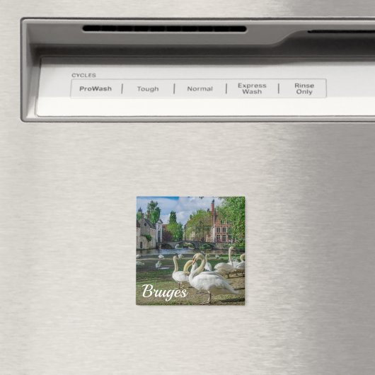 Weiße Schwäne in Brügge Magnet (In Situ (Geschirrspüler))