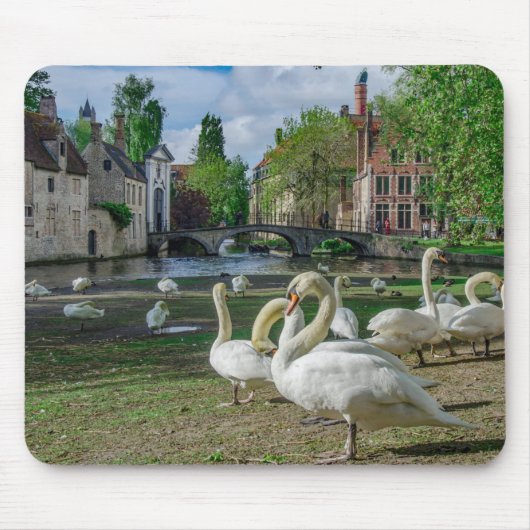 Weiße Schwäne in Brügge Mousepad (Vorne)