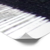 Weiße Schwäne in einem dunklen Poster (Ecke)