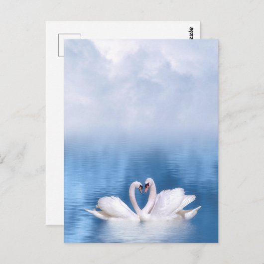 Weiße Schwäne Postkarte (Vorne/Hinten)