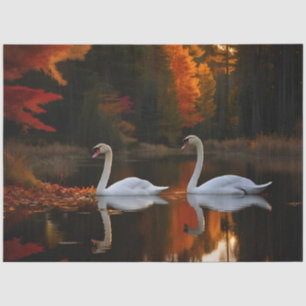 Weiße Schwäne schlängeln über den Herbstteich Seidenpapier