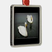 Weiße Schwäne Schwarzes Wasser Silbernes Ornament (Rechts)