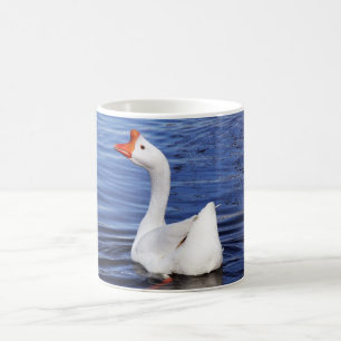 weiße Schwangans in blauem Wasser Kaffeetasse