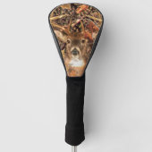 Weiße Schwanz Hirsch Herbst Energie auf einem Golf Headcover (Vorderseite)