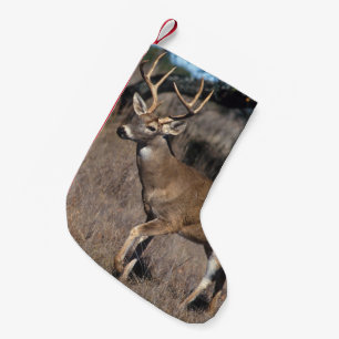 Weiße Schwanz-Rotwild Kleiner Weihnachtsstrumpf