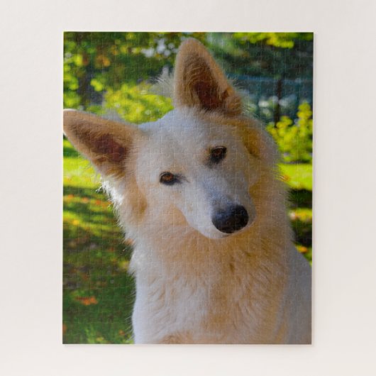 Weiße Schweizer Hirte Hund Jigsaws. Puzzle (Vertikal)