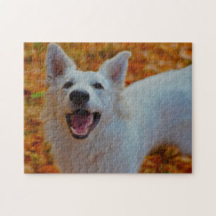 Weiße Schweizer Hirte Hund Jigsaws. Puzzle