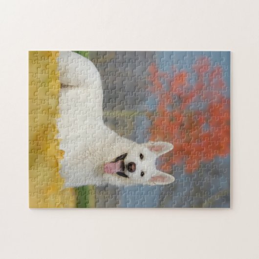 Weiße Schweizer Schäferhunde Foto - Niedlicher Fur Puzzle (Horizontal)