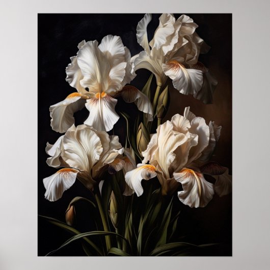 Weiße Schwertlilien-Blumen Kunst Druck Poster (Vorne)