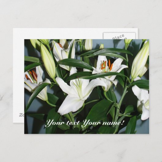 weiße Seele Postkarte (Vorne/Hinten)