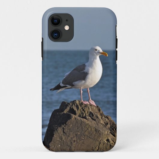 Weiße Seemöwe und Ozean Case-Mate iPhone Hülle (Rückseite)