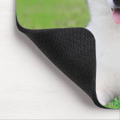 Weiße sibirische Husky-Welpe auf grünem Grasfeld Mousepad (Ecke)
