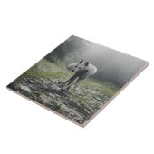 Weiße sibirische Keramik Tile Fliese (Seite)