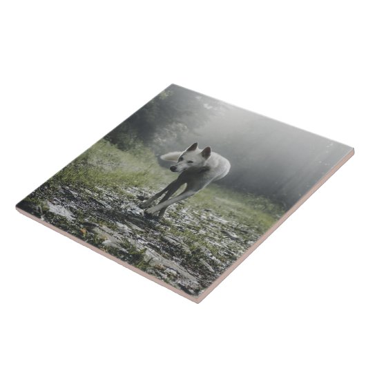 Weiße sibirische Keramik Tile Fliese (Seite)