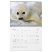 Weiße Siegel! Kalender (Mär 2027)