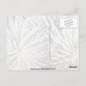 Weiße Silverword-Blume, Hawaii-Blume Postkarte (Rückseite)