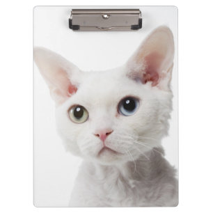 Weiße sonderbar-mit Augen Katze 2 Klemmbrett