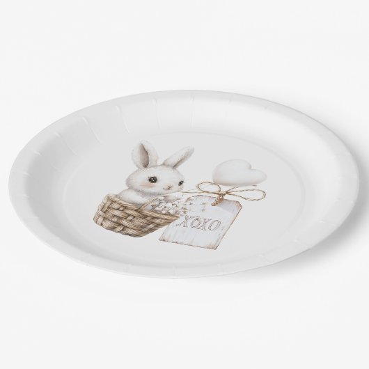 Weiße Sonnenanbeter in einem Korb Babydusche XOXO Pappteller (Schrägansicht)