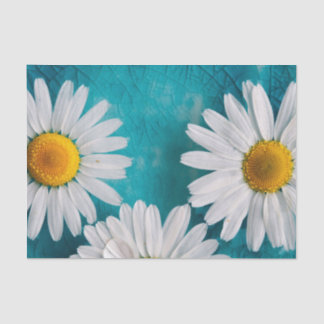 Weiße Sonnenblumen auf türkisfarbenem Tissue Seidenpapier